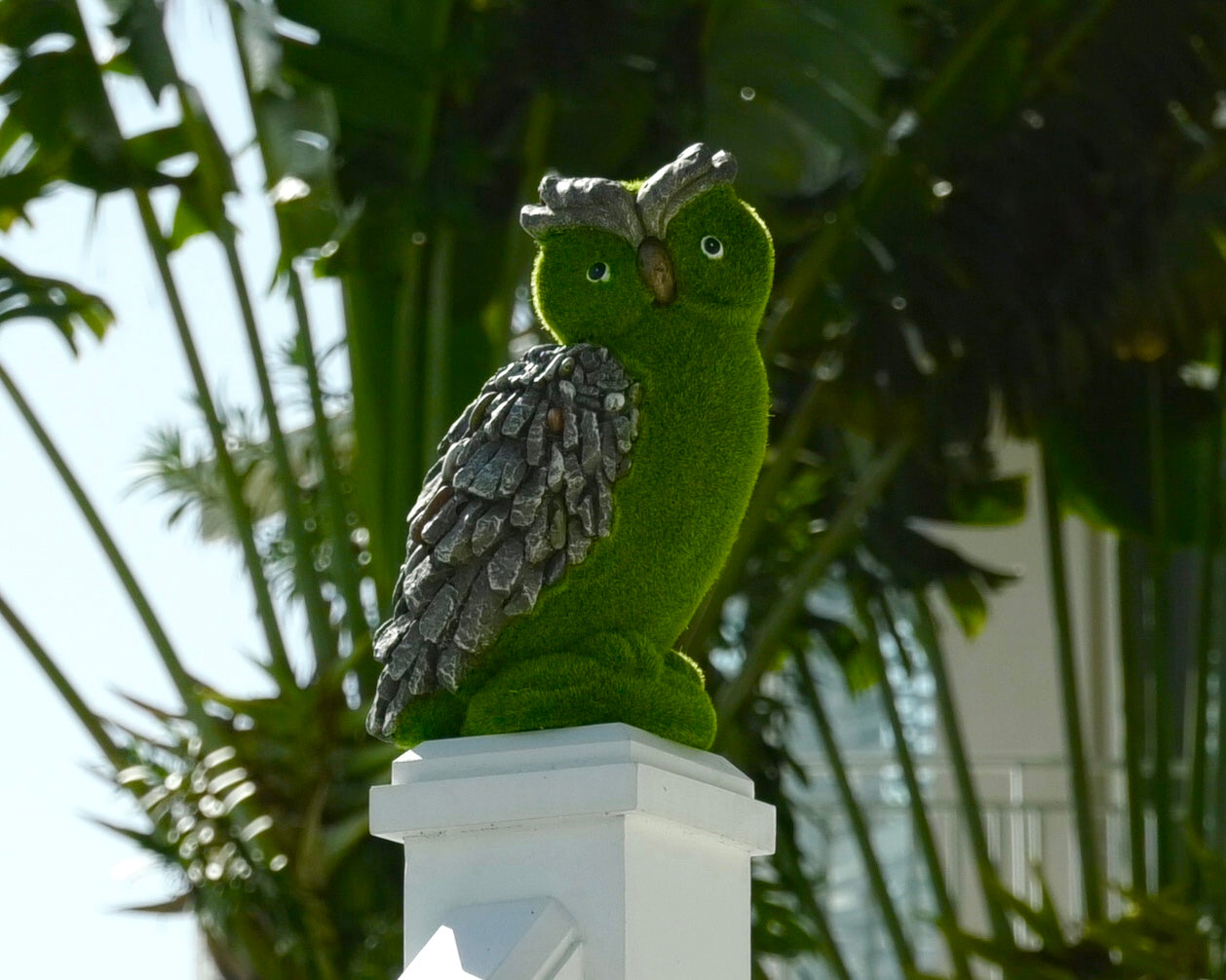 Barbara King Faux Moss and Stone Indoor/Outdoor Animal - Owl